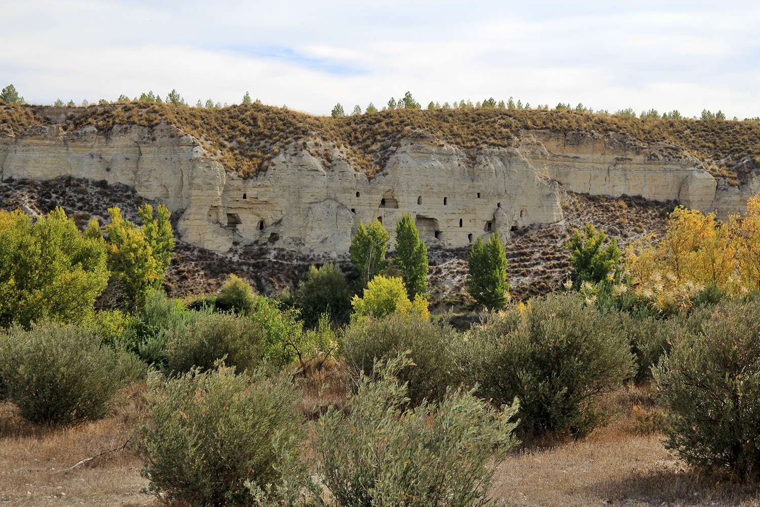 The Historic Cave Houses in Benamaurel