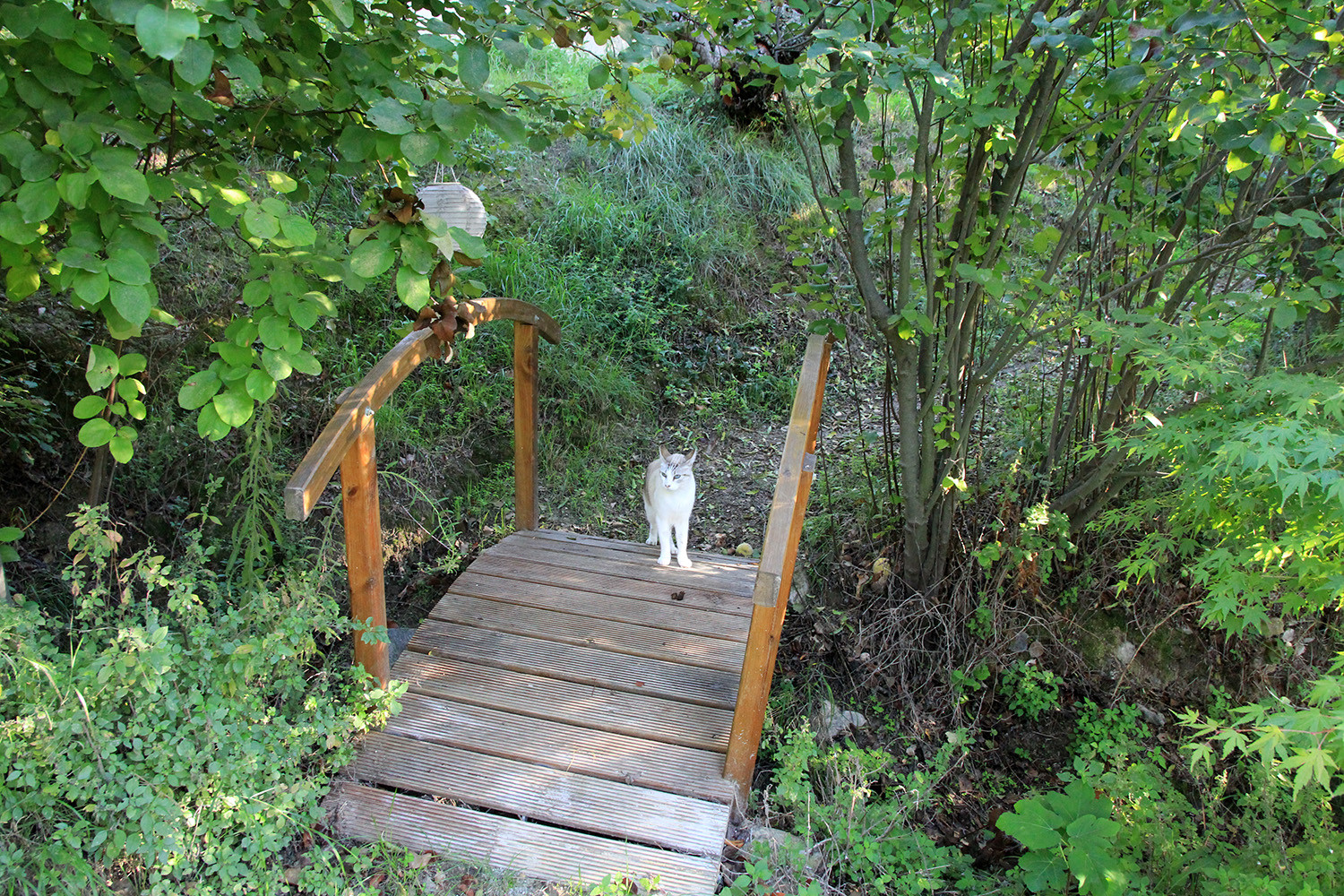 The small bridge to the parking
