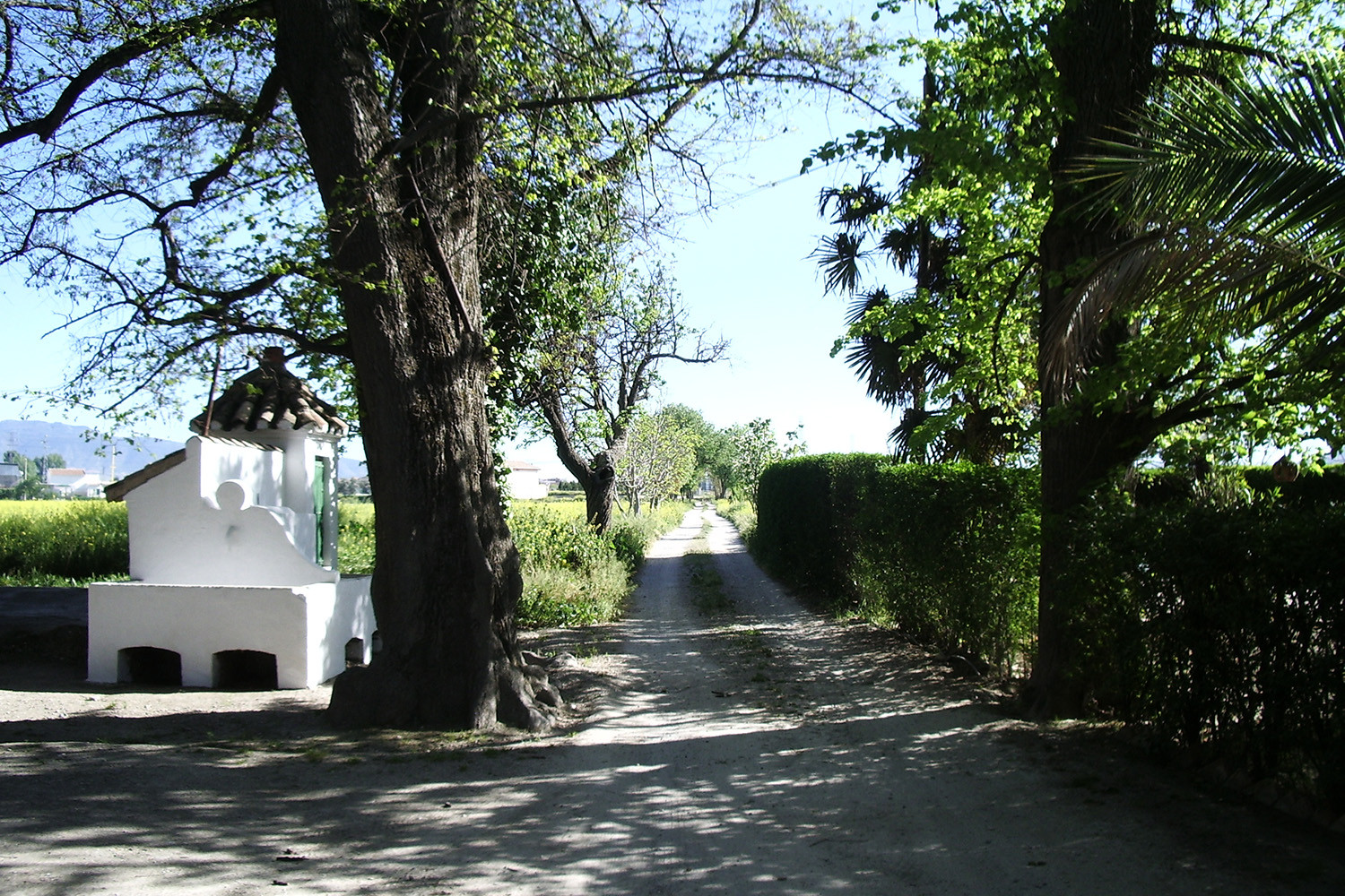View from the farmhouse to the entrance