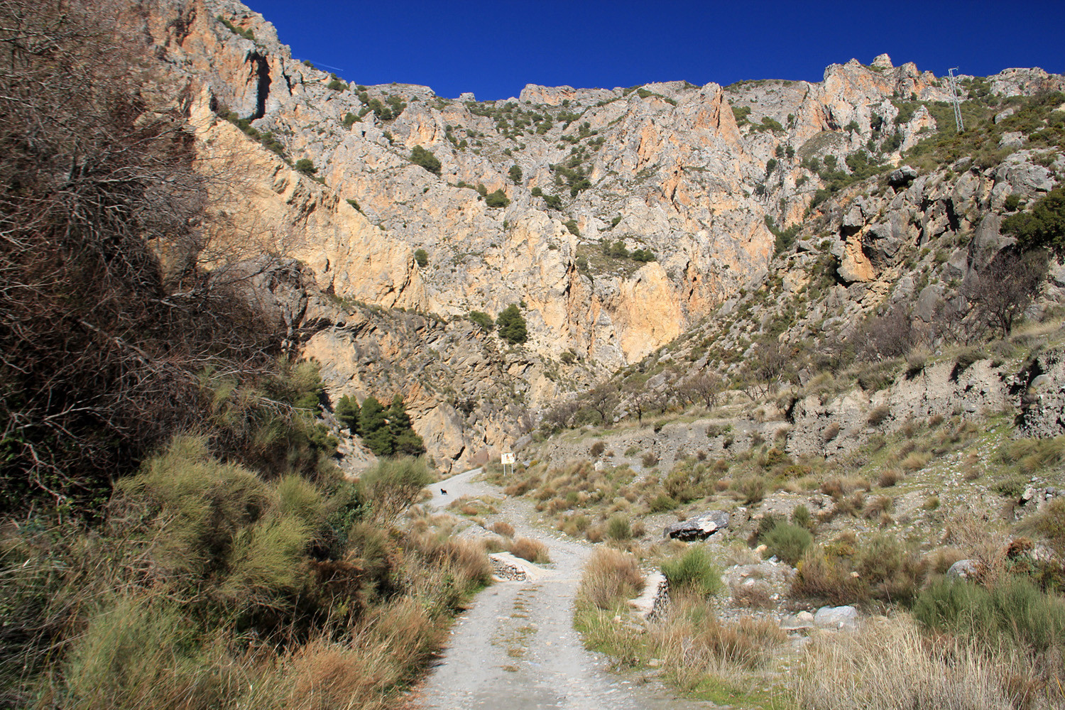 Sierra Nevada near Nigüelas