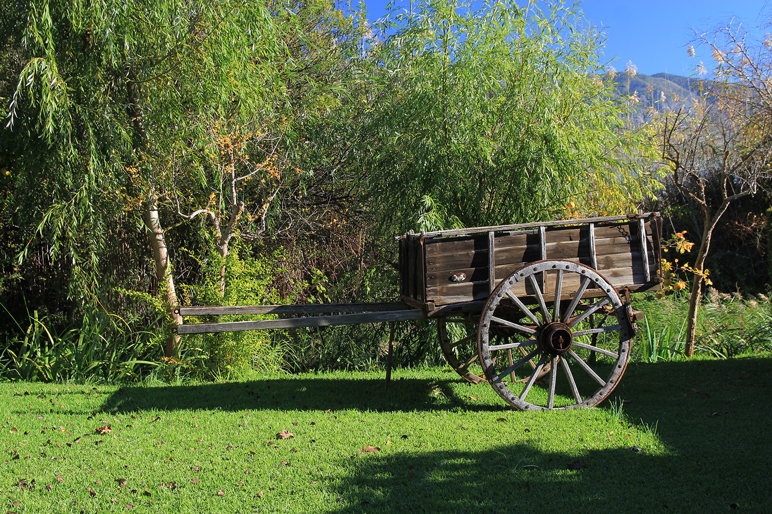 Historic garden decoration