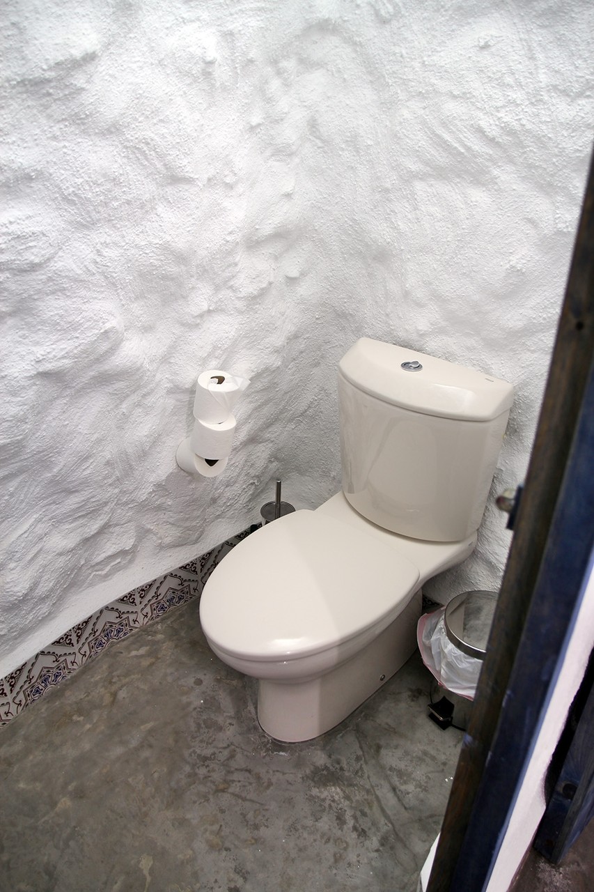 The toilet