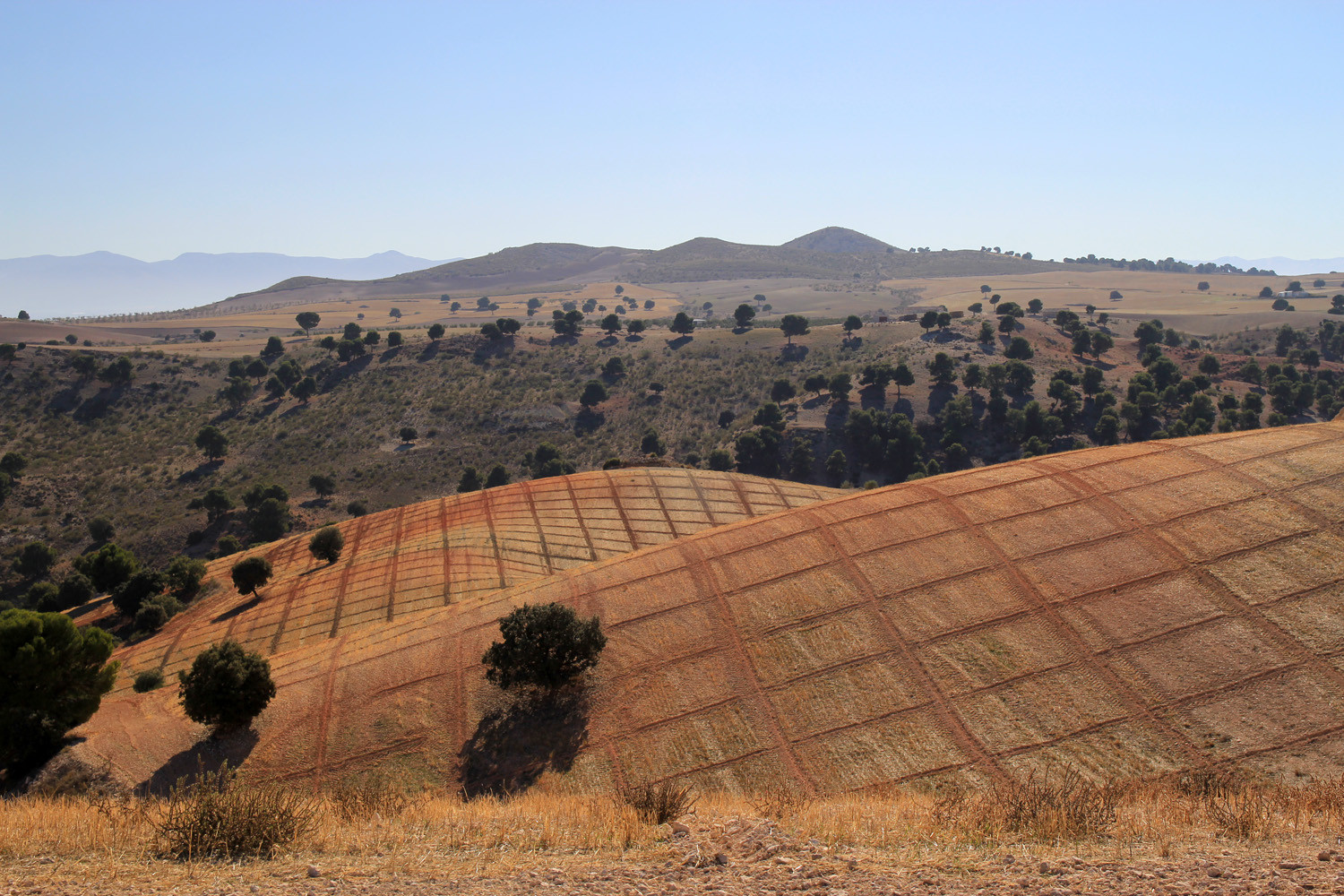 Landscape near Alamedilla
