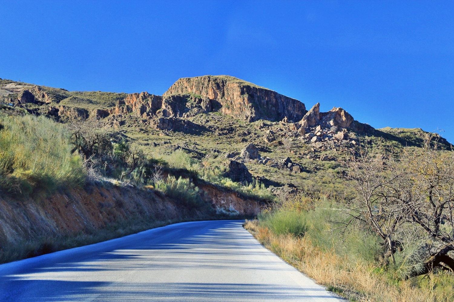 The Road to Cojáyar