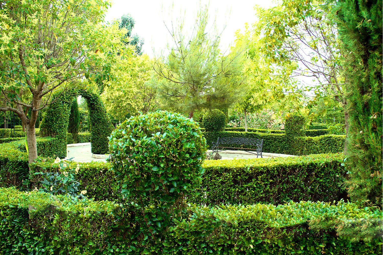The gardens