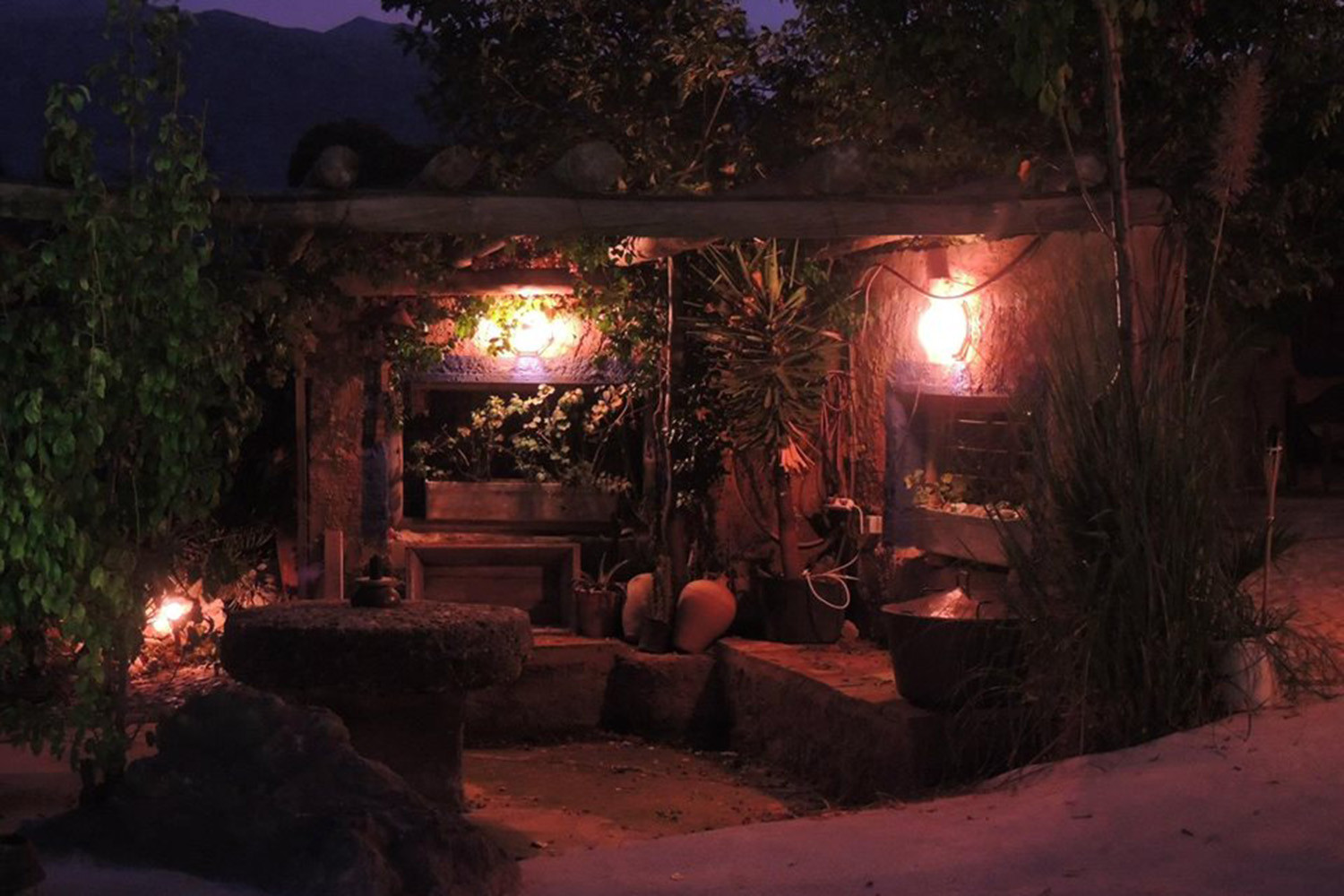 The gardens by night