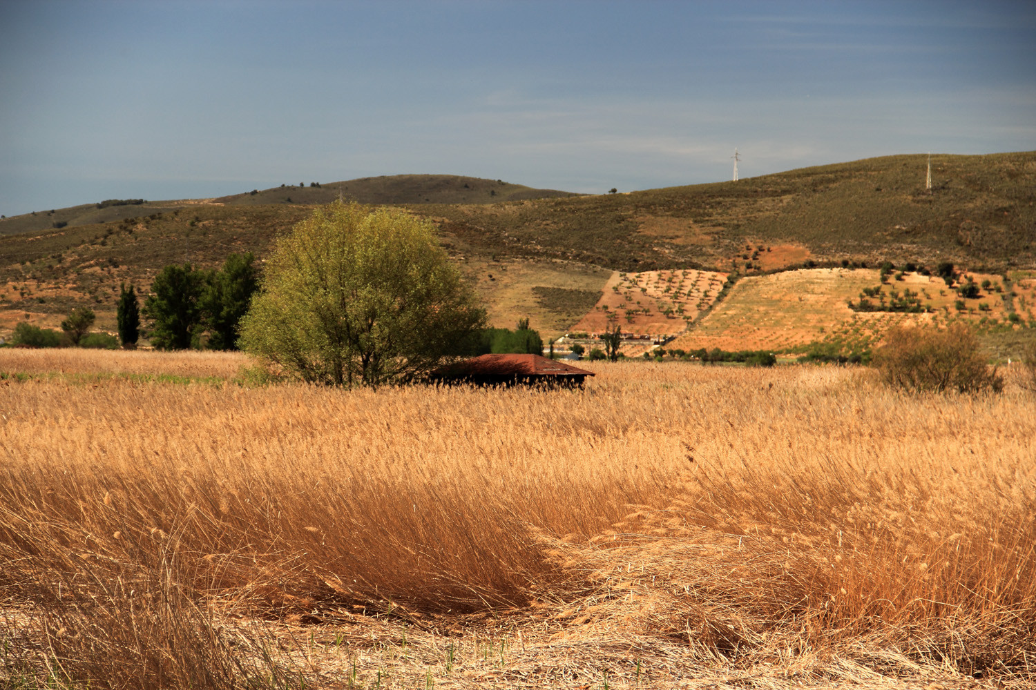 Wetlands of El Padul