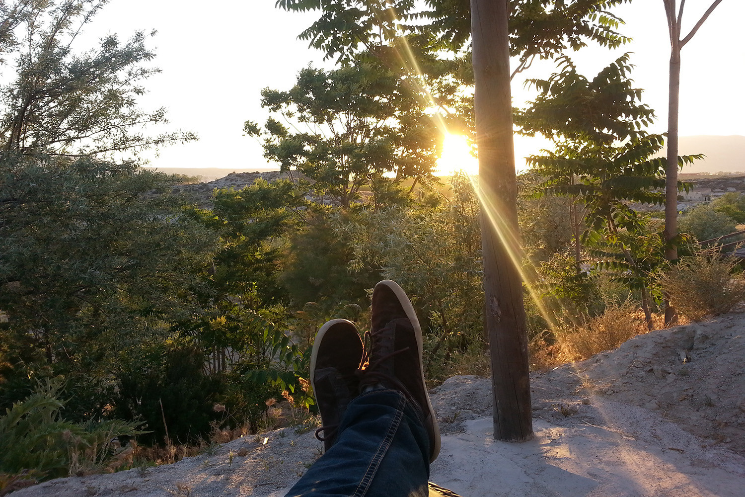 The view from the terrace
