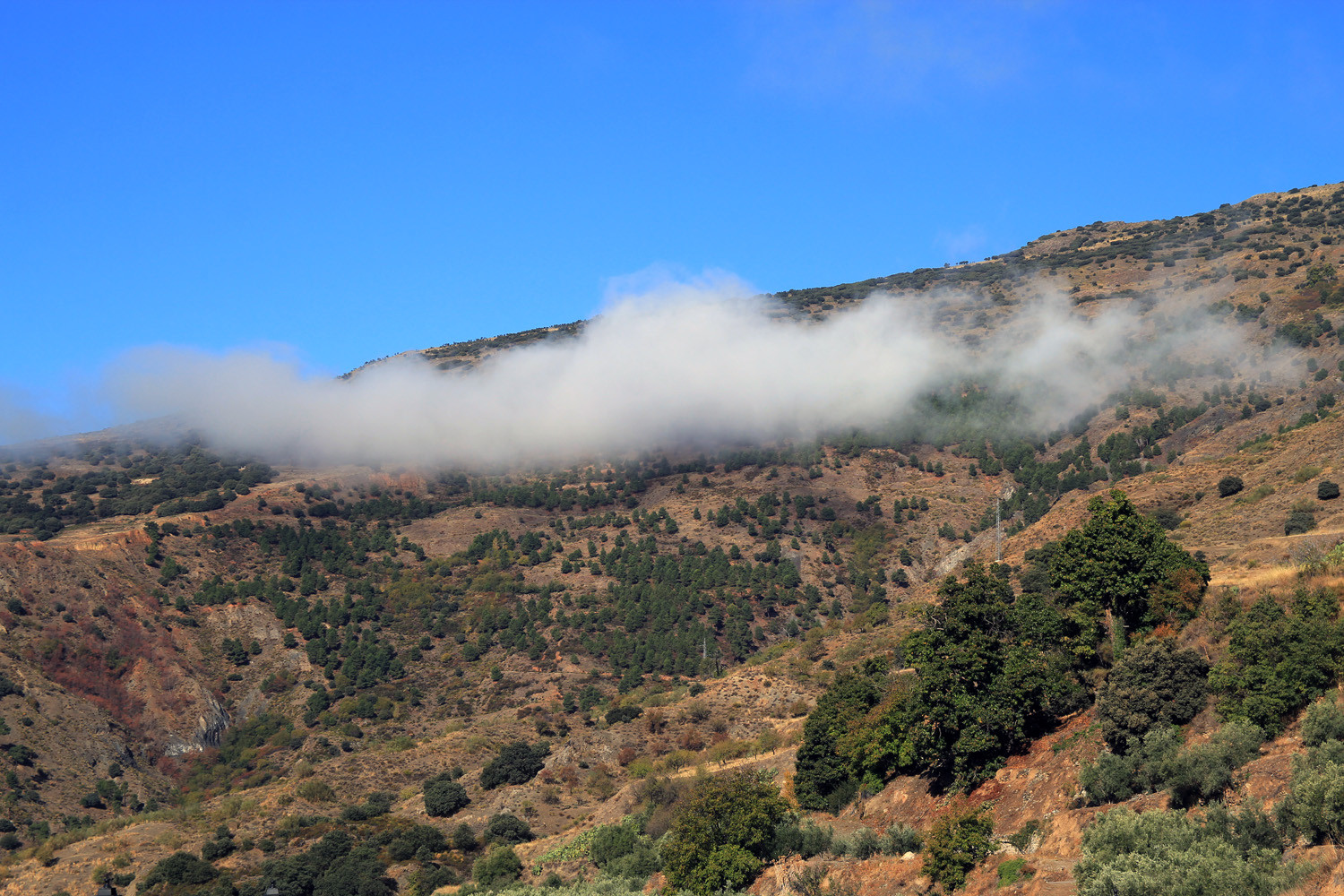 View on the Sierra Nevada from Cañar