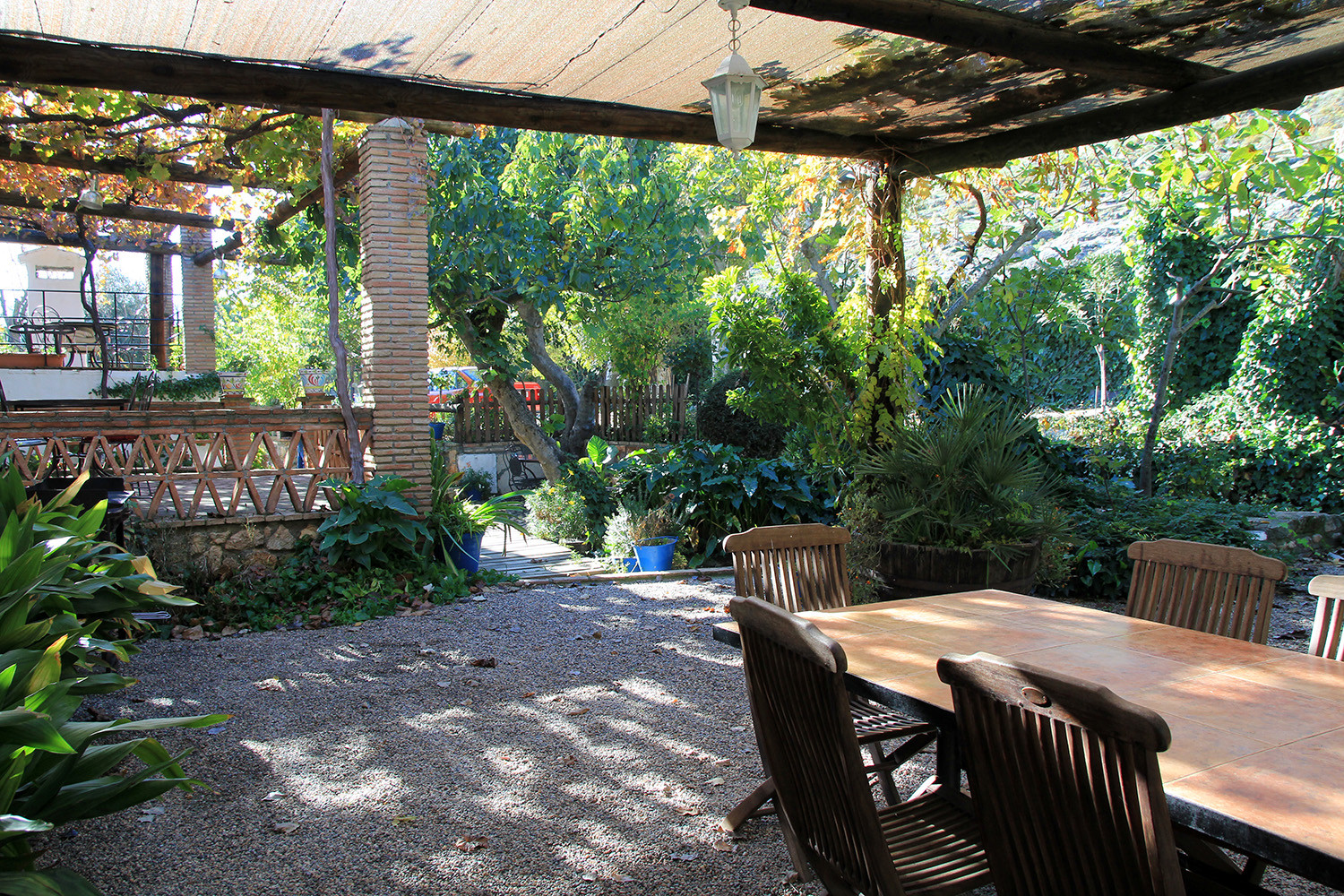 The garden at the front