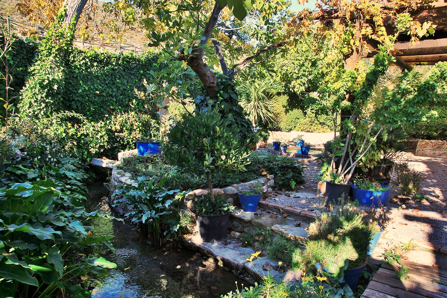 The garden at the front