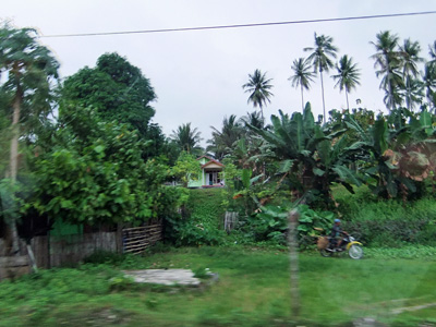 インドネシア・スラウエシ島。<br>広い森林を抜けて現場へ向かいます