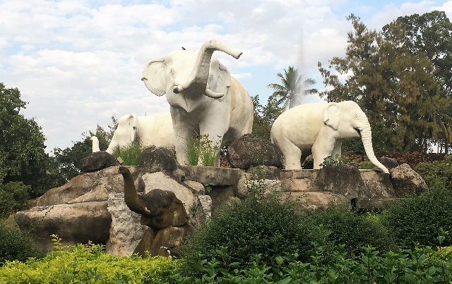 freaky finance, freaky travel, Chiang Mai, Elefanten