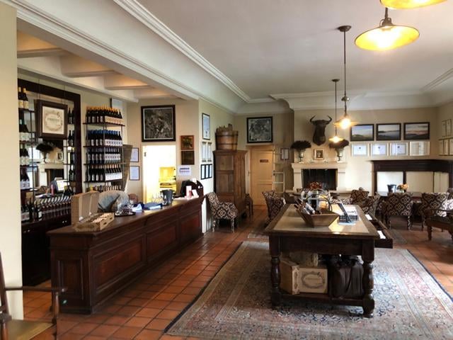 freaky travel präsentiert: Die Top 5 Tipp für deinen unvergesslichen Urlaub in Kapstadt in Südafrika. Bestaune und genieße die atemberaubende Natur Afrikas