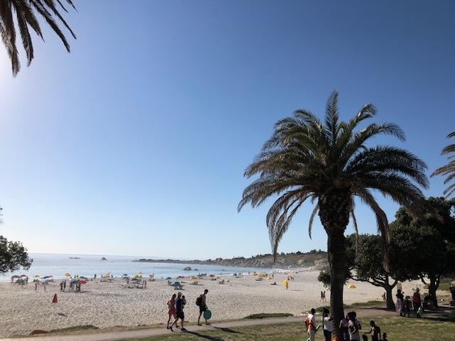 freaky travel präsentiert: Die Top 5 Tipp für deinen unvergesslichen Urlaub in Kapstadt in Südafrika. Bestaune und genieße die atemberaubende Natur Afrikas