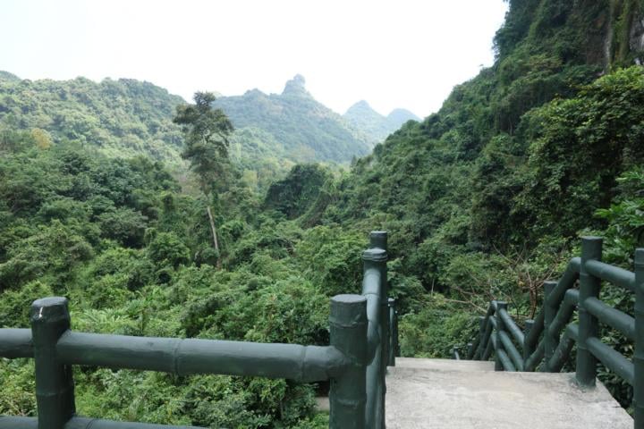 Dschungel soweit das Auge reicht