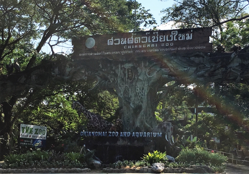 Chiang Mai Zoo
