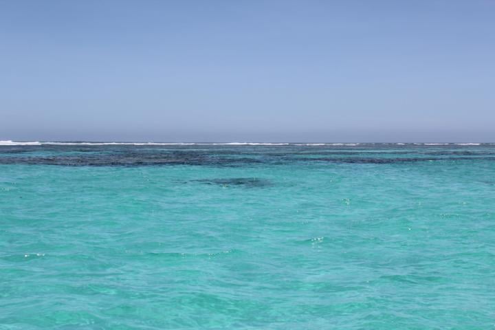 Blick auf das blaue Meer an der Küste Coral Bays