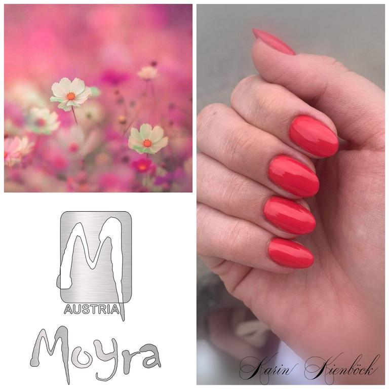 Nailart, erstellt von Karin Kienböck, mit Produkten von www.moyra.at