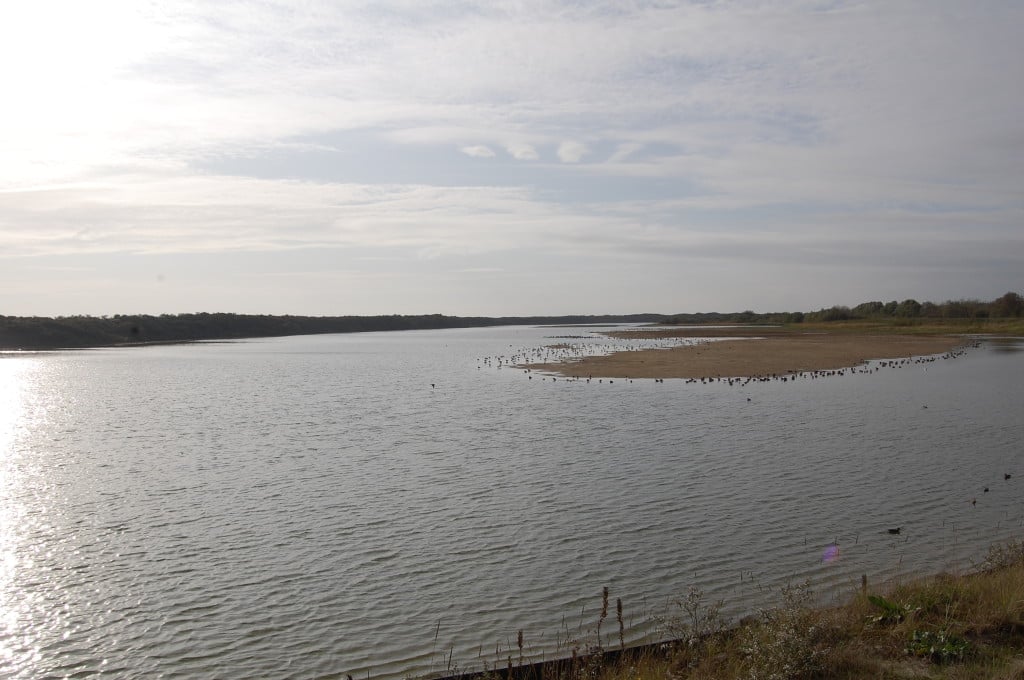 Le parc au soleil couchant