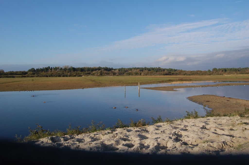 vue d'un poste d'observation