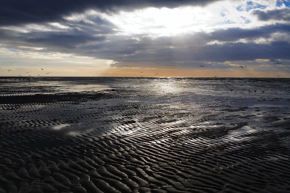 La baie d'Authie au coucher du soleil