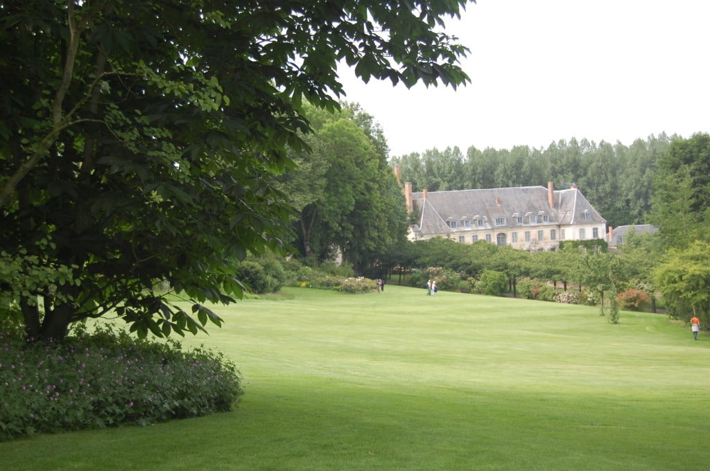 La pelouse bien taillée