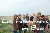 Promenades dans la Baie de Somme