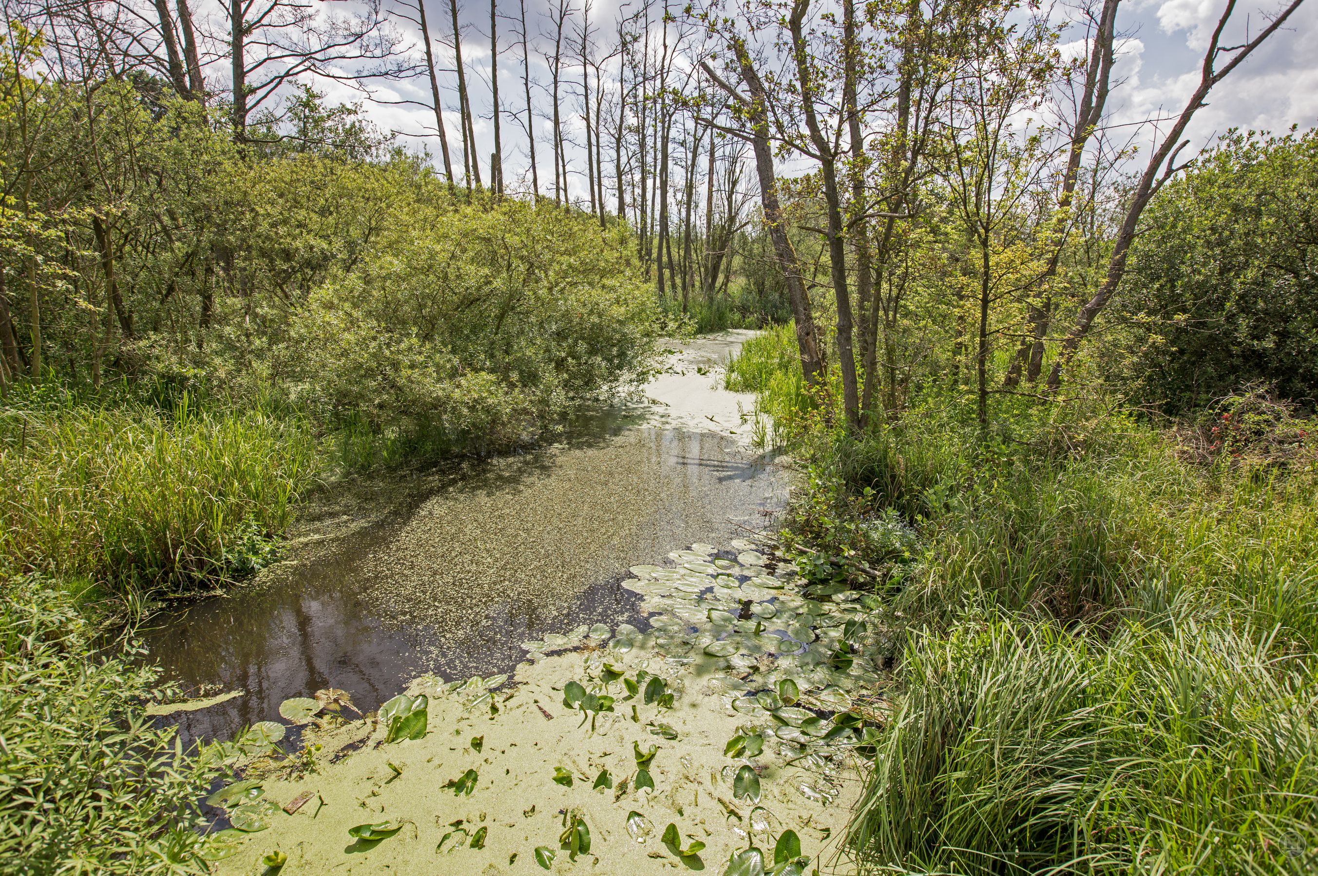 Café im Auenhof und die Kunstgalerie Aagaard im Berliner Stadtteil Hermsdorf. Das Tegeler Fließ.