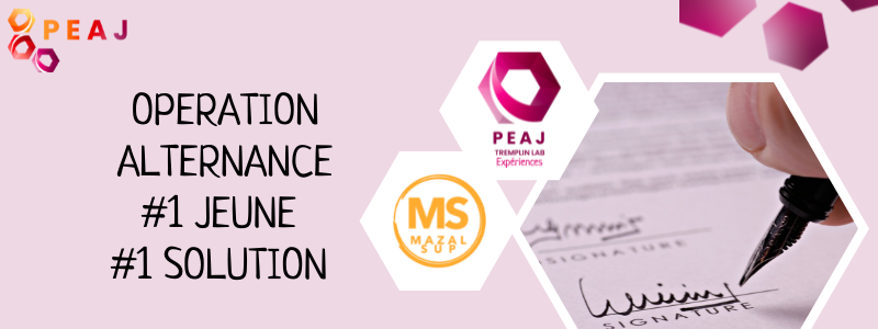 OPERATION ALTERNANCE