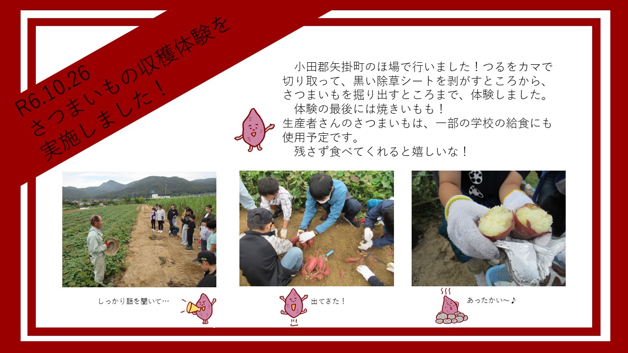 収穫体験（さつまいも）を実施しました！