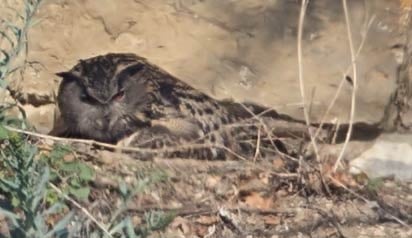 28.03.2017 Ludwígsburg Zugwiesen