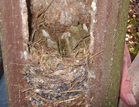 8.11.2008 Asperg-Osterholz Kamera: Fuji Finepix F30