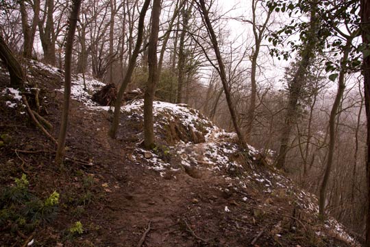 17.2.2013 Schwieberdingen Gr. Fels Kamera: Canon EOS 5D MkIII / 24-105; Der große Dachsbau in Schwieberdingen.