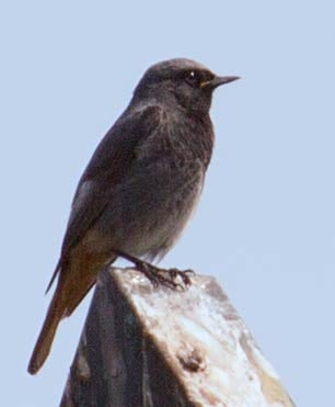 14.05.2015 Schwieberdingen