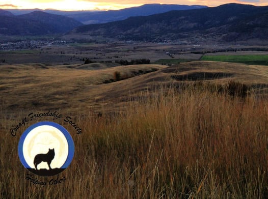 Expired and New Memberships