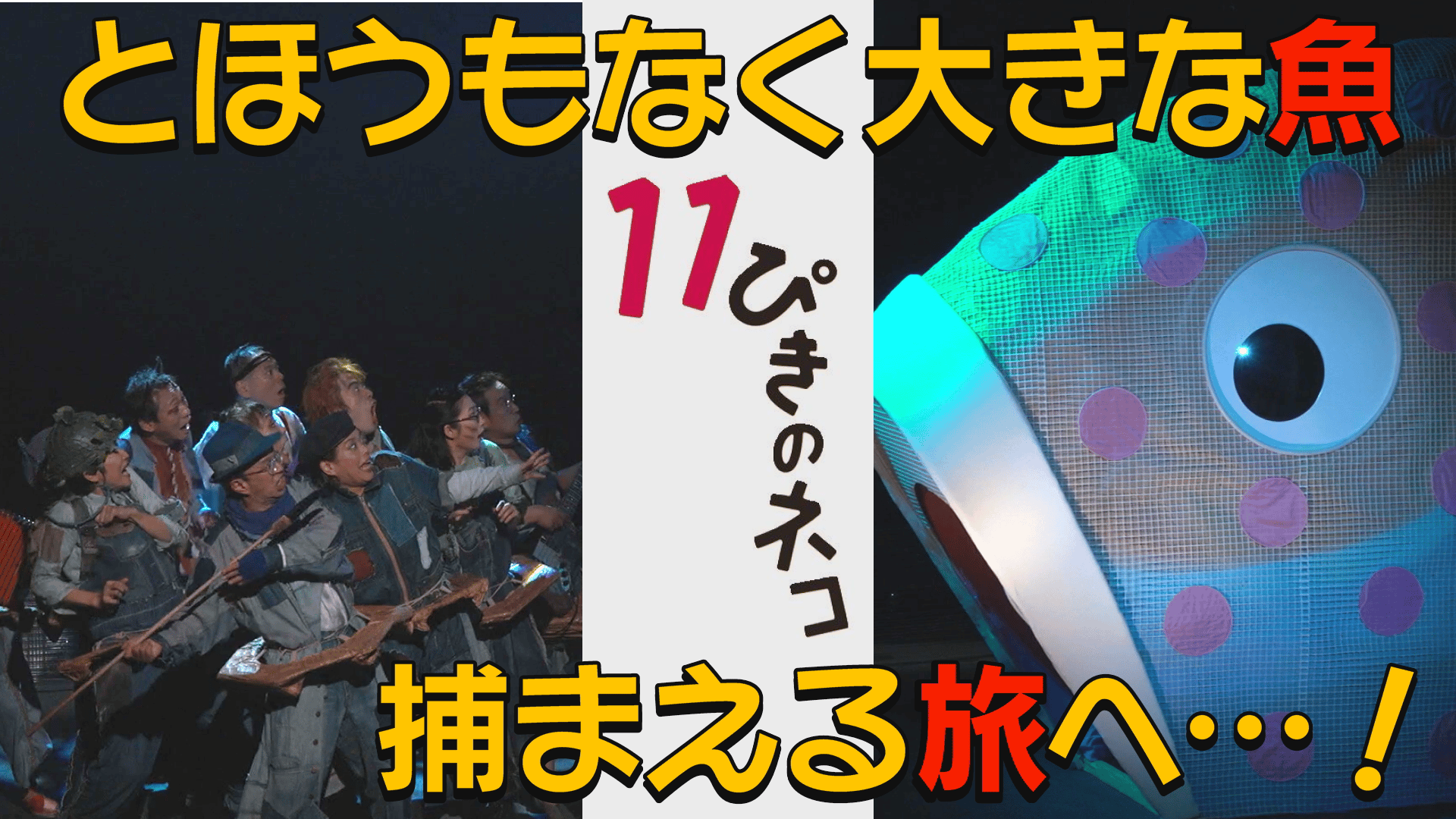 【演劇PR】伝説のミュージカルコメディ「１１ぴきのネコ　エコー版」