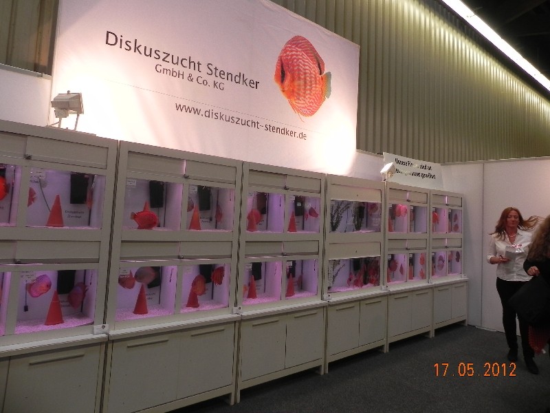 Stendker Diskus (Lieferant von uns)