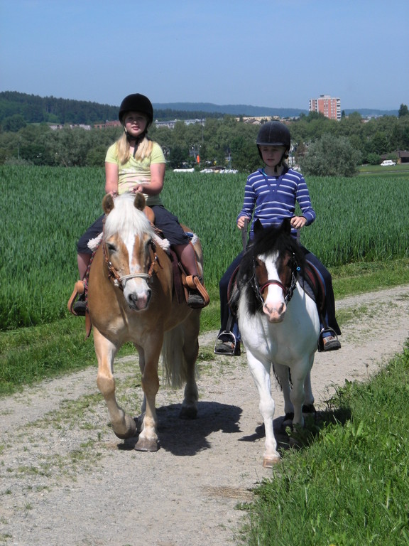 Ausritt ins Gelände