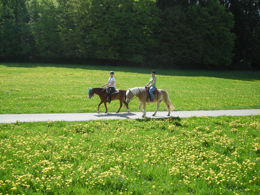 Ausritt ins Gelände