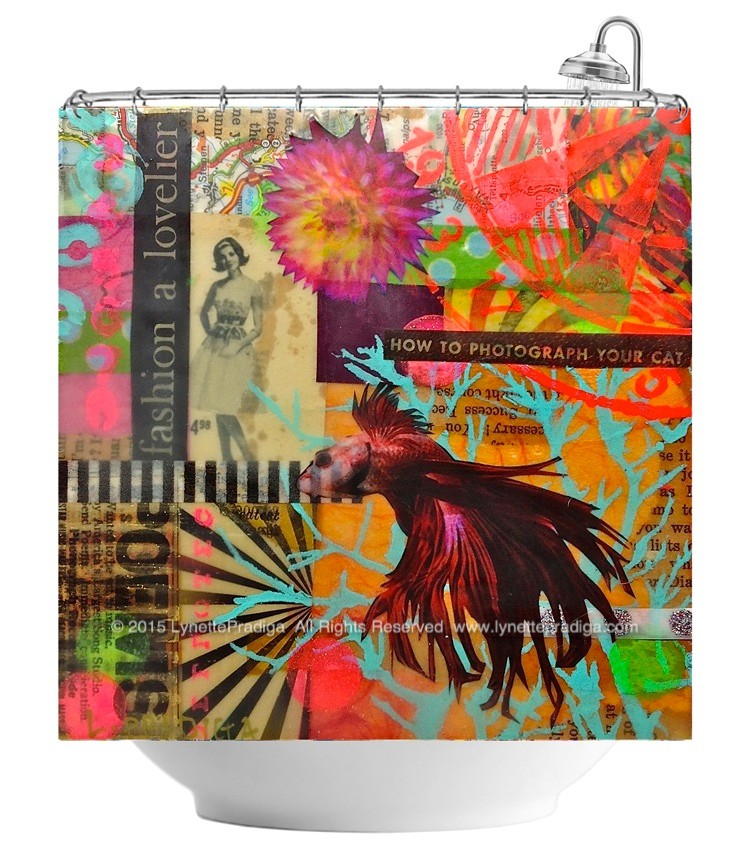 How to Photo your Cat