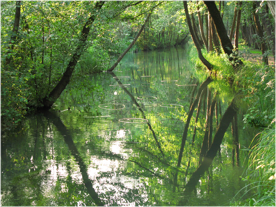 Oasi Cervara, Treviso 2009, Wolfgang Wallner, Hall in Tirol
