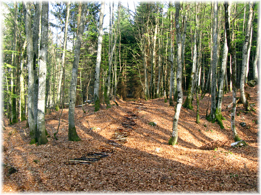 Der Pfad, Land Art, Halltal, Wolfgang Wallner, Hall in Tirol