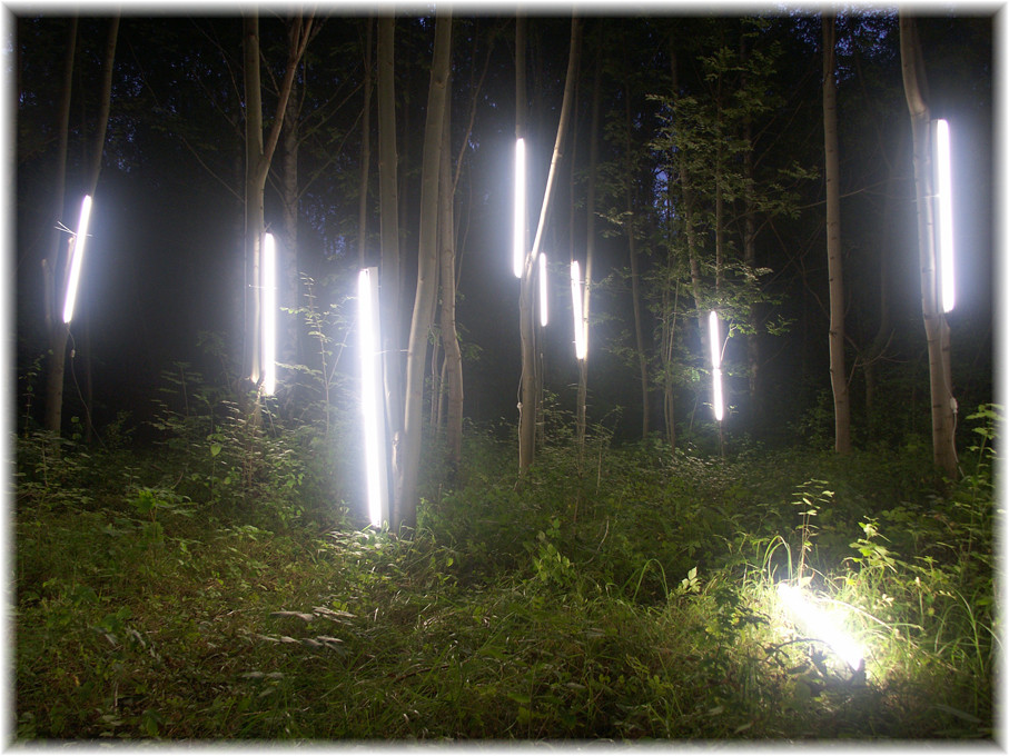Wald, erleuchtet, Installation, 2005, Wolfgang Wallner, Hall in Tirol