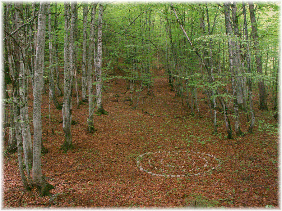 4 Kreise Halltal 2006, Wolfgang Wallner, Hall in Tirol