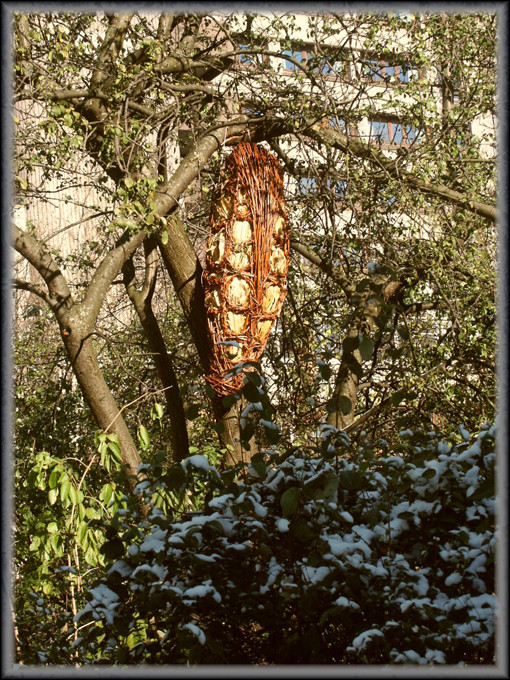 Kokoon, Lange Nacht der Museen 2005, Wolfgang Wallner, Hall in Tirol