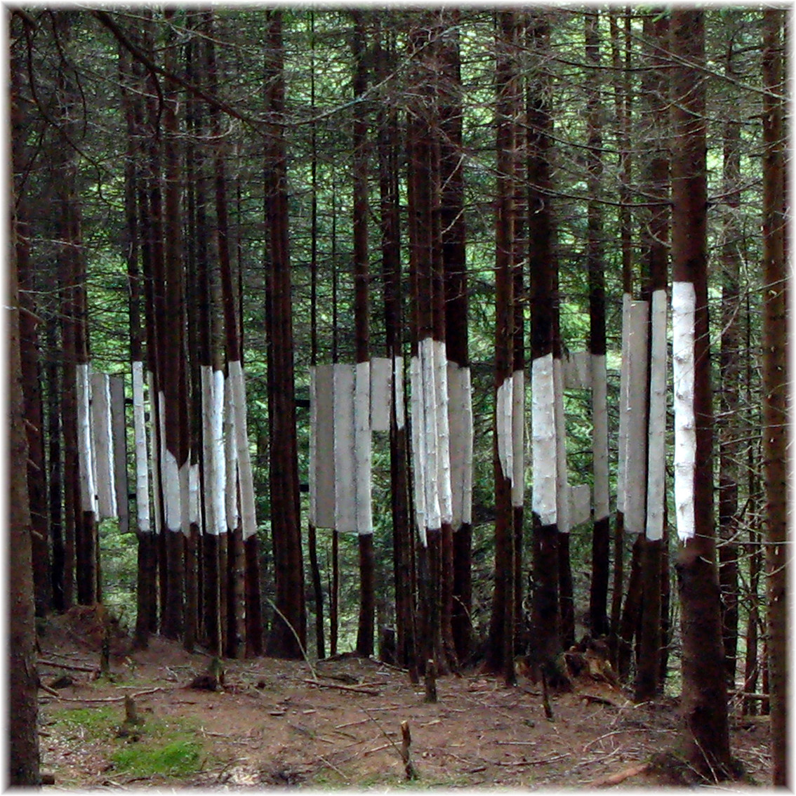 Und- perspektivische Installation, Pillberg, 2008, Wolfgang Wallner, Hall in Tirol