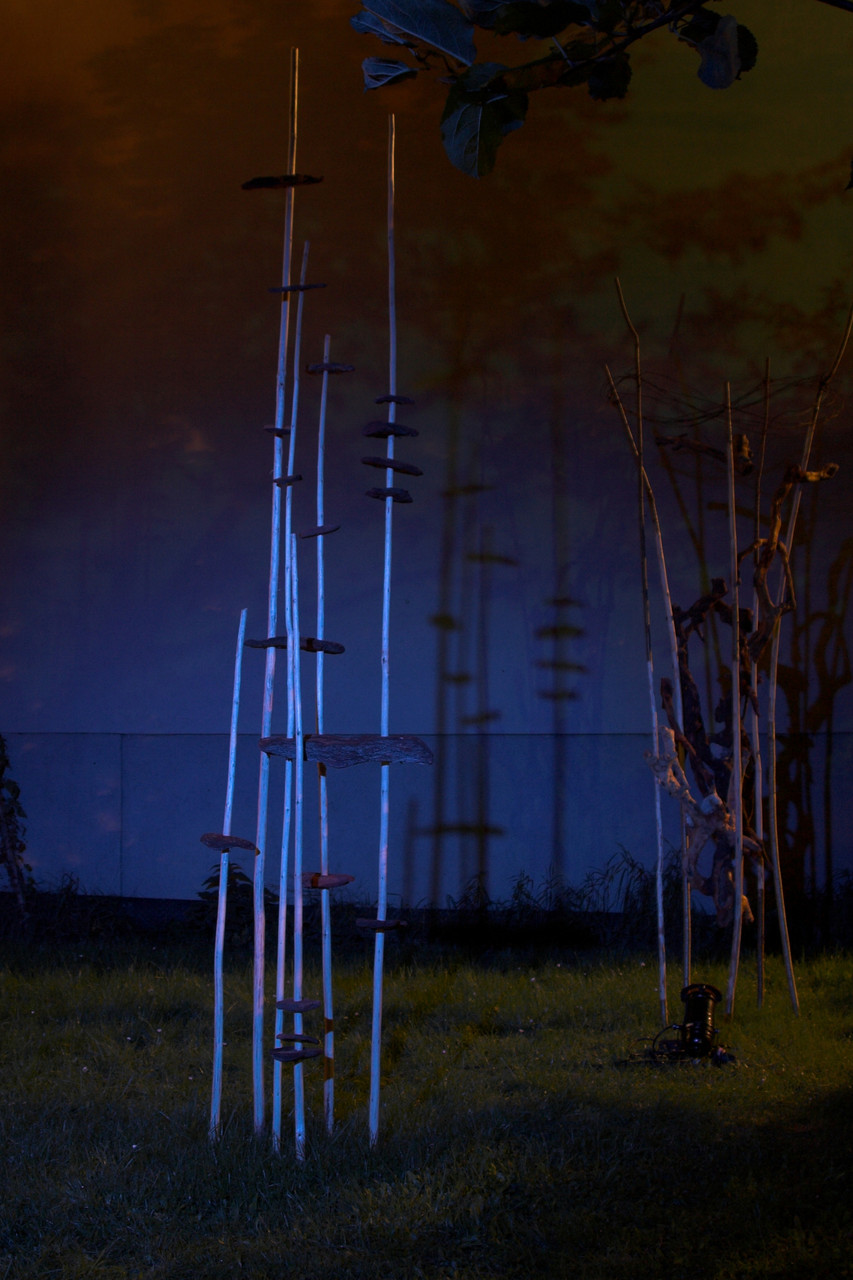 Lange Nacht der Museen 2009, Wolfgang Wallner, Hall in Tirol