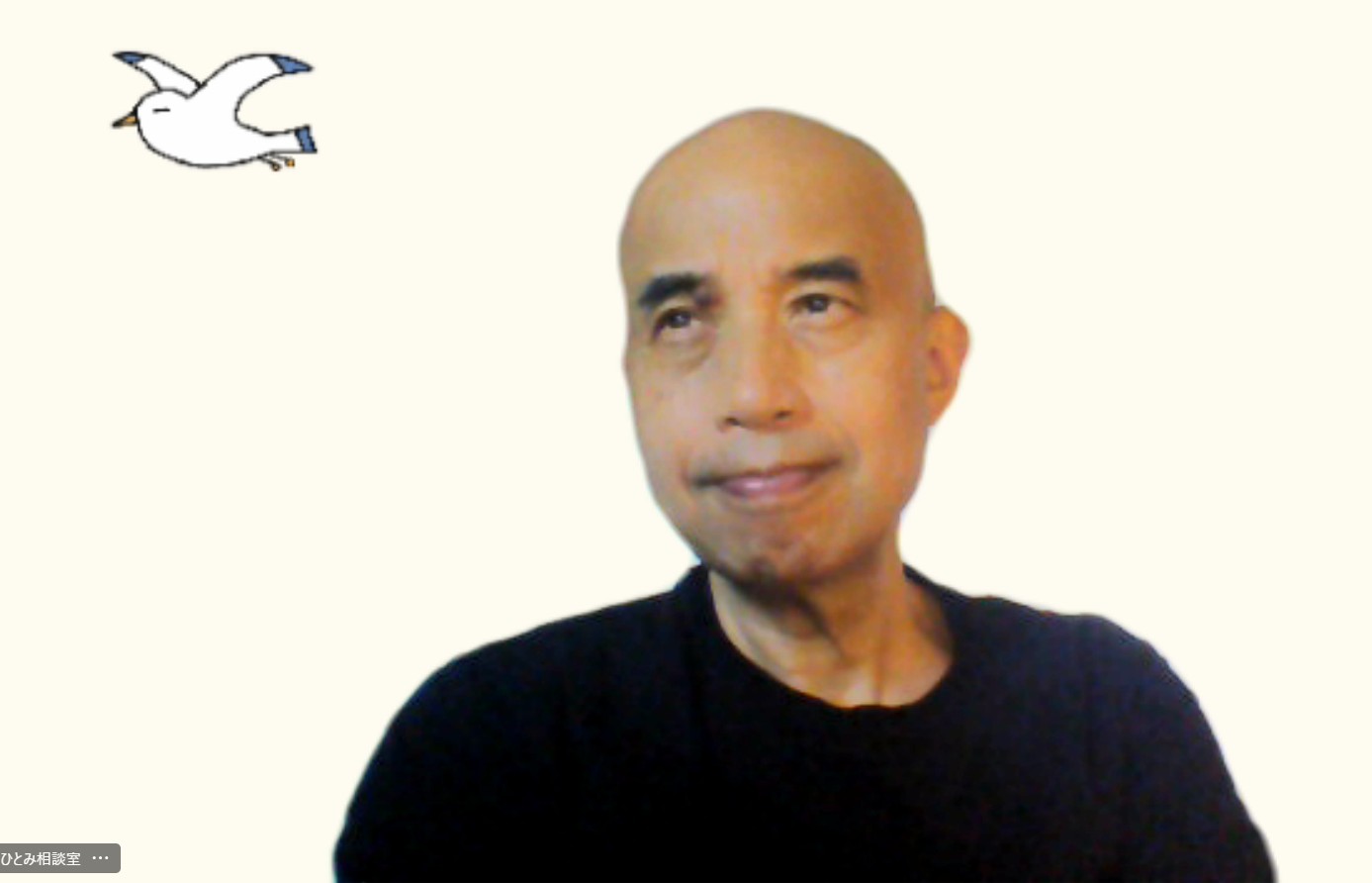 カモメのジョーさんぽ、はじめます