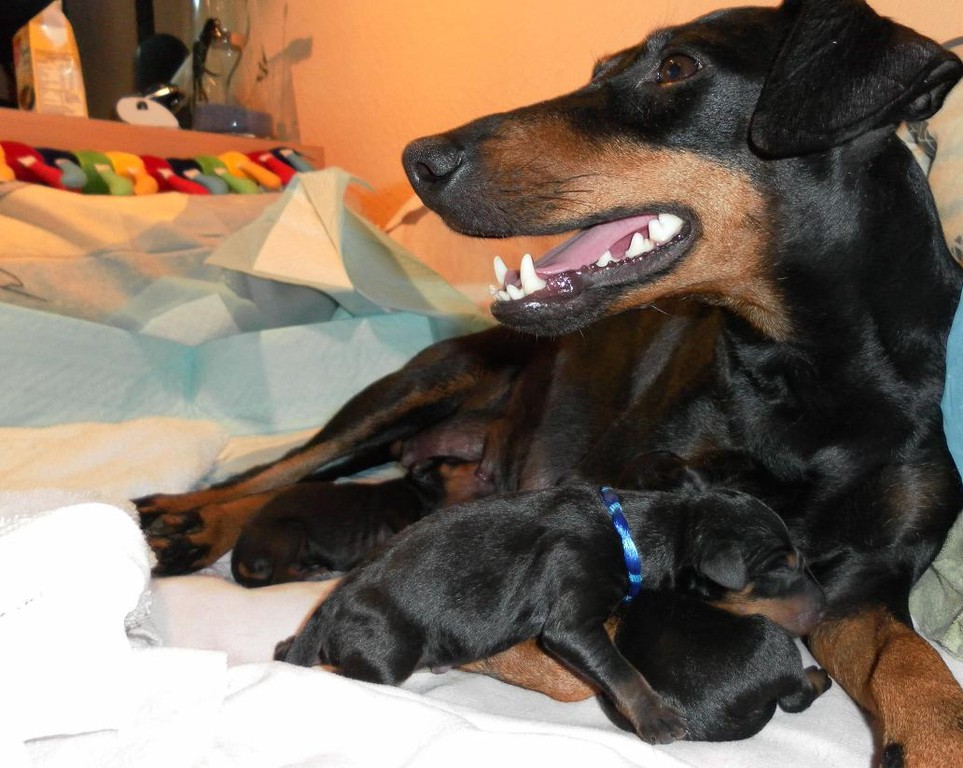 20.05.2011 (Tag der Geburt)